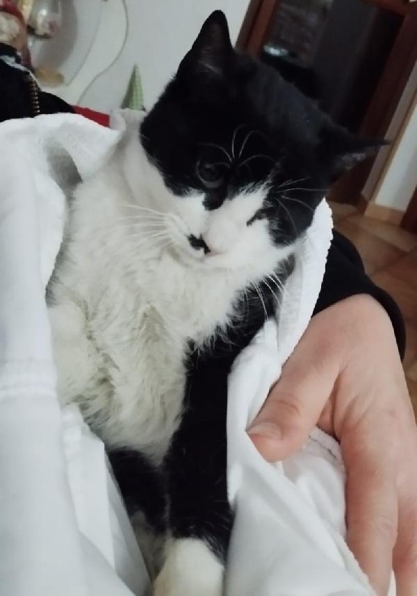 Fruttella, ipovedente a un occhietto Foto 5